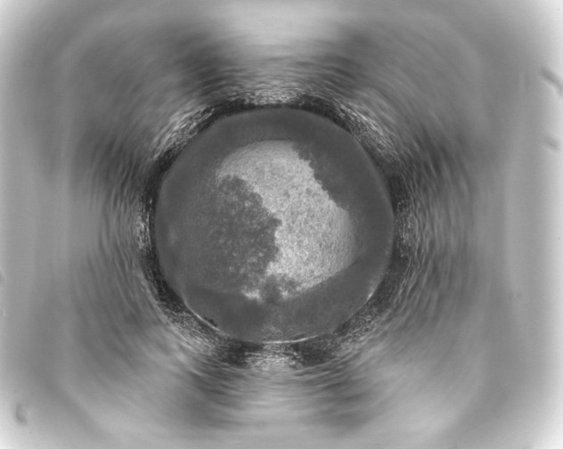 X0000093740743200710301104