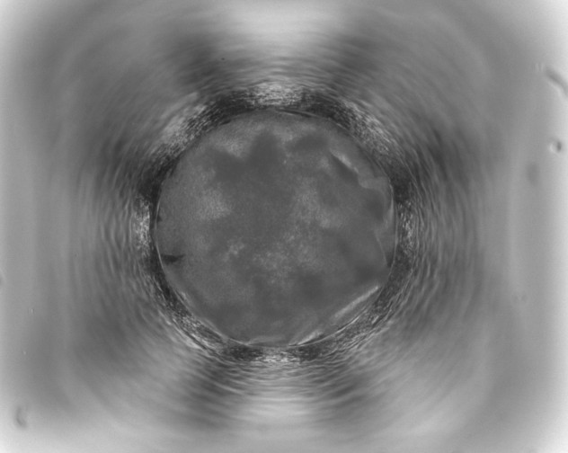 X0000093740745200710301104