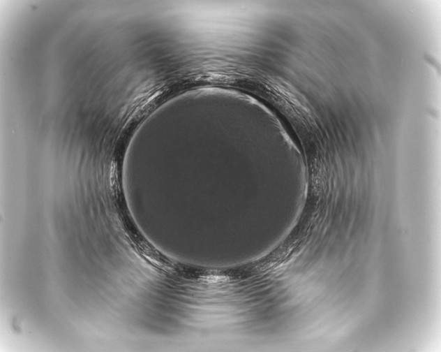 X0000093740748200710301104