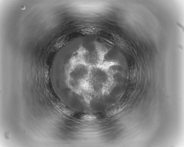 X0000093740749200710301104