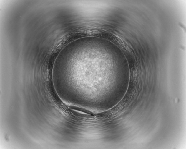 X0000093740750200710301104