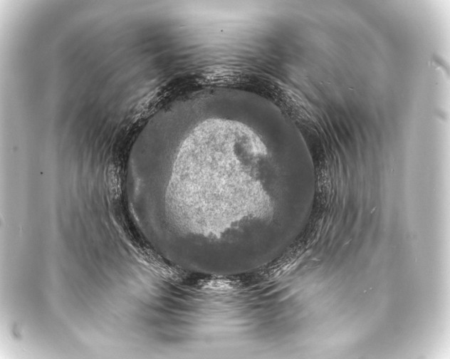 X0000093740751200710301104