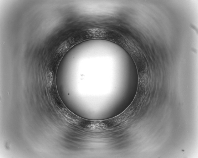 X0000093740752200710301104