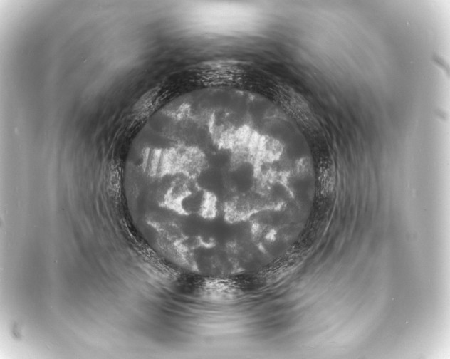 X0000093740753200710301104