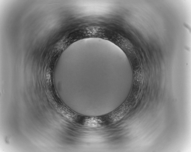 X0000093740754200710301104