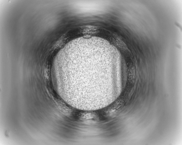 X0000093740755200710301104