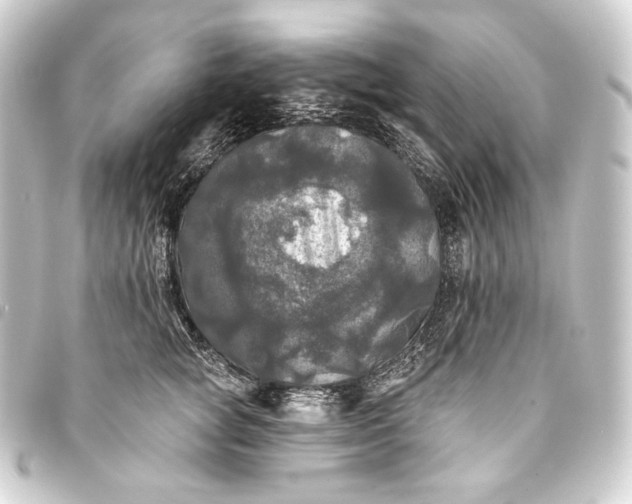 X0000093740757200710301104