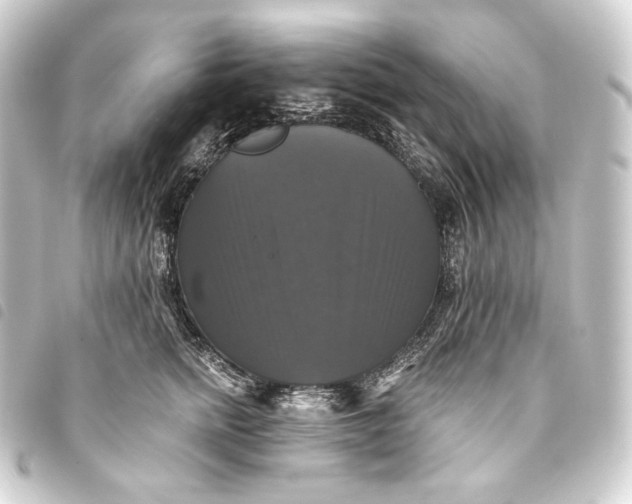 X0000093740758200710301104