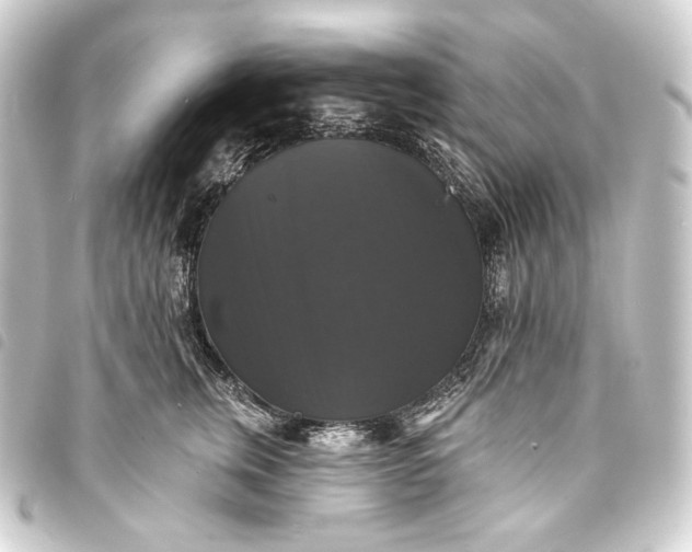 X0000093740759200710301104