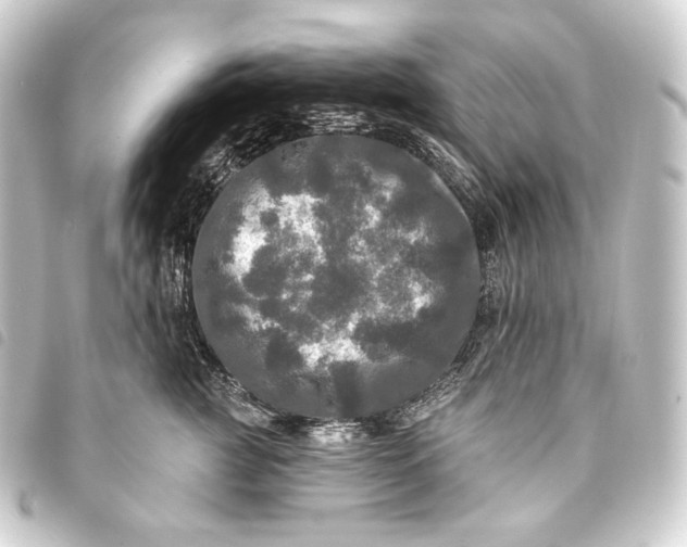 X0000093740761200710301104