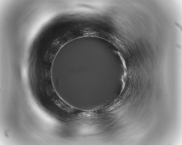 X0000093740763200710301104