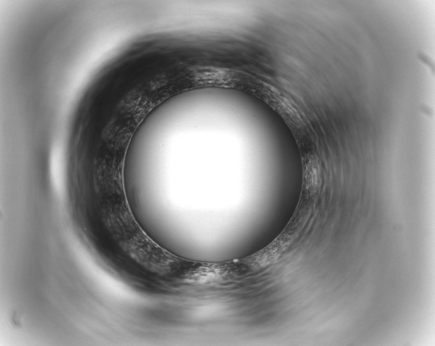 X0000093740764200710301104