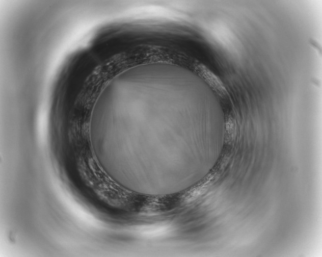 X0000093740765200710301104