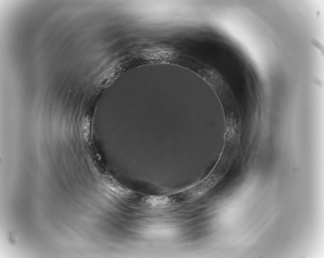 X0000093740767200710301104