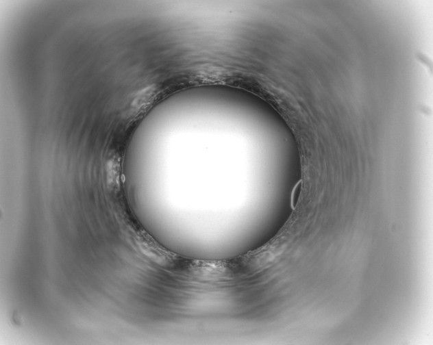 X0000093740768200710301104