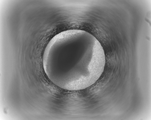 X0000093740769200710301104