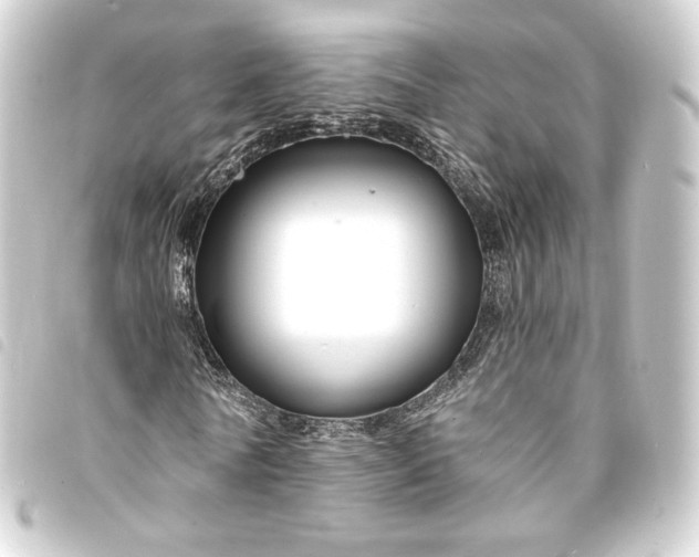 X0000093740770200710301104