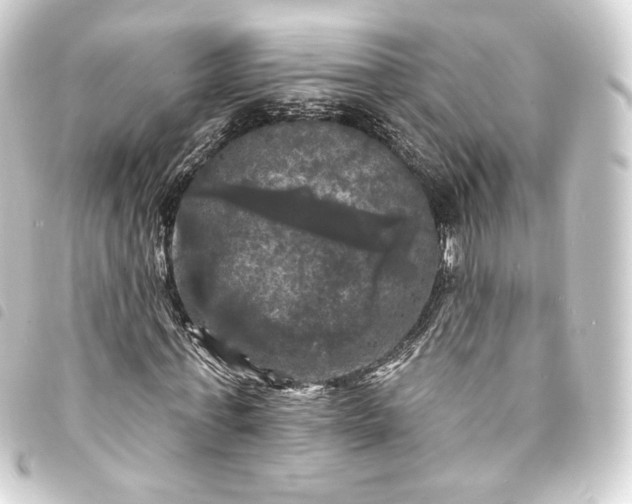 X0000093740771200710301104