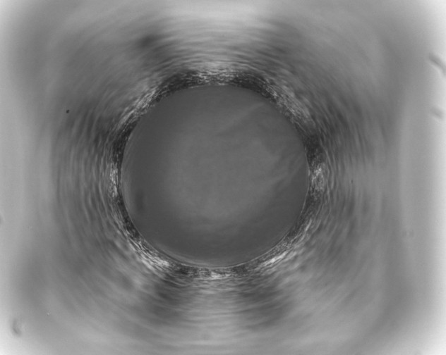 X0000093740772200710301104