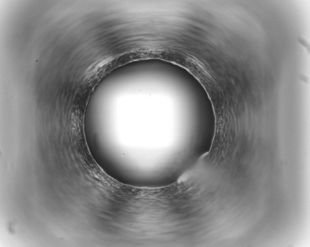 X0000093740773200710301104