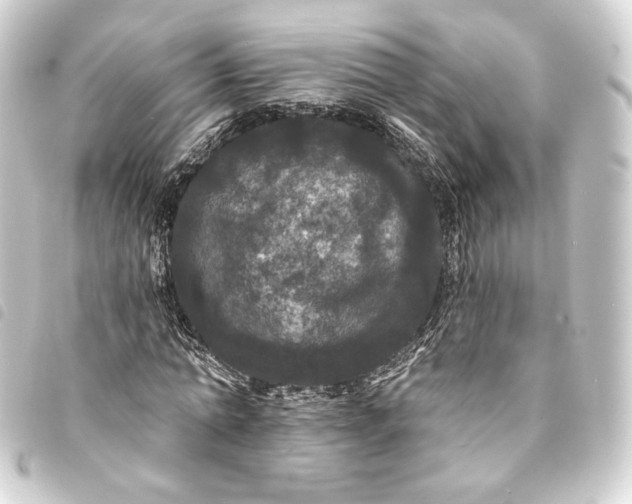 X0000093740774200710301104