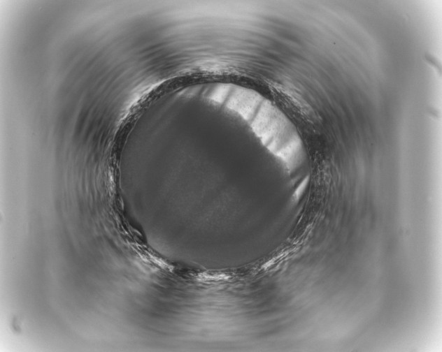 X0000093740776200710301104