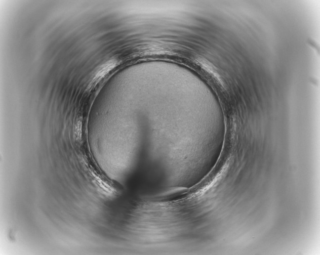 X0000093740777200710301104