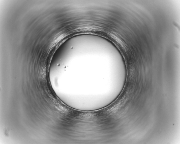 X0000093740778200710301104