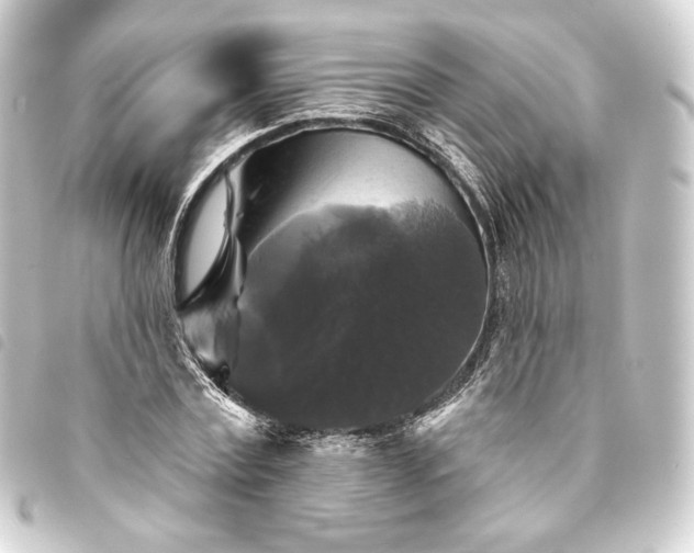 X0000093740779200710301104