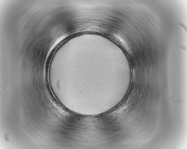 X0000093740780200710301104