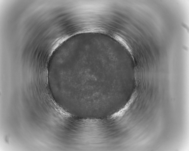 X0000093740781200710301104