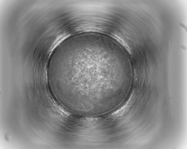 X0000093740782200710301104