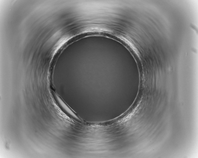 X0000093740783200710301104