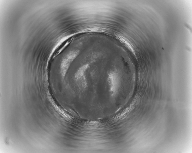 X0000093740784200710301104