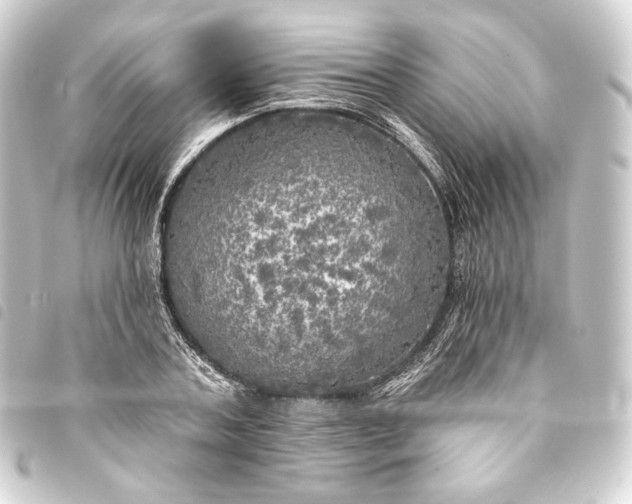 X0000093740787200710301104