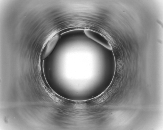 X0000093740788200710301104