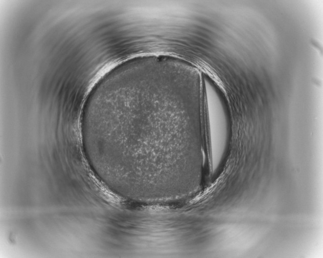 X0000093740789200710301103