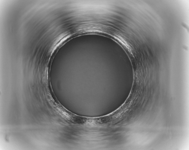 X0000093740790200710301103