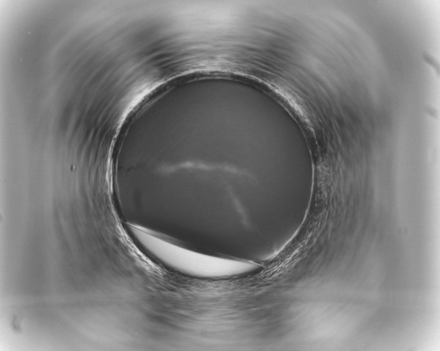 X0000093740791200710301103