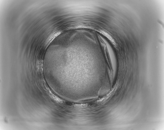 X0000093740793200710301103