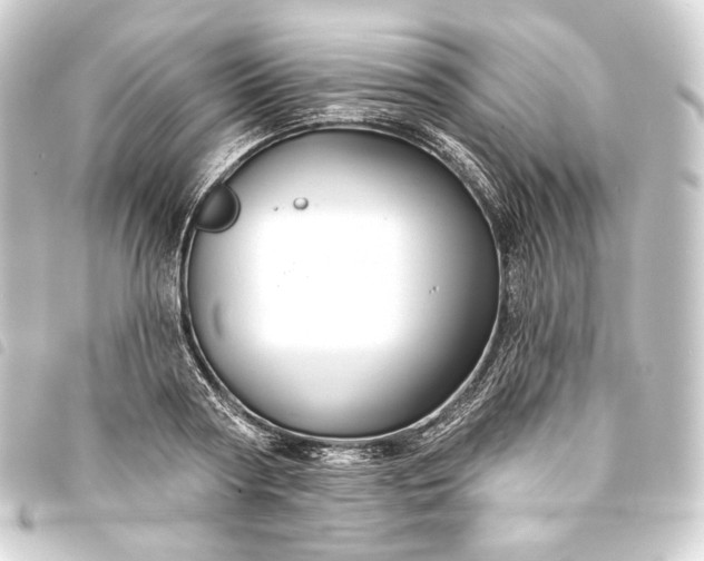 X0000093740794200710301103