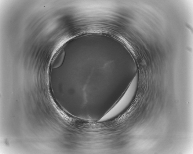 X0000093740795200710301103