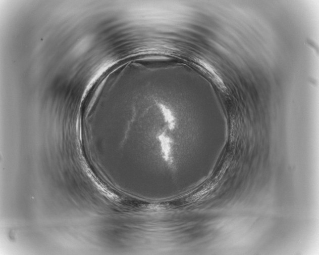 X0000093740796200710301103