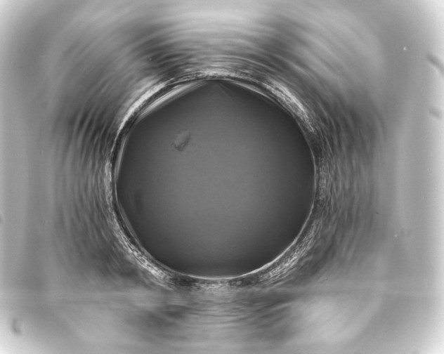 X0000093740798200710301103