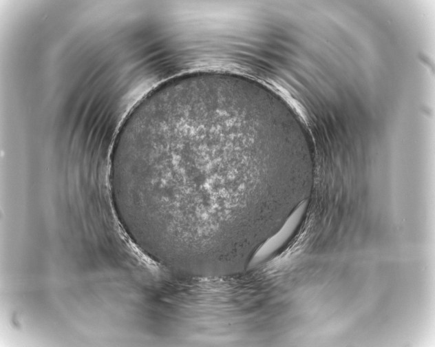 X0000093740799200710301103