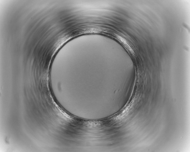 X0000093740802200710301103