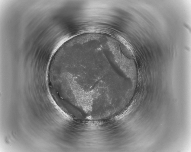 X0000093740803200710301103