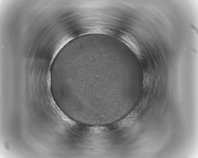 X0000093740804200710301103