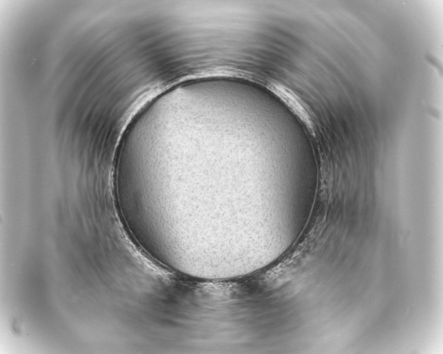 X0000093740805200710301103