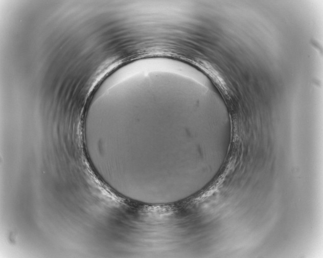 X0000093740806200710301103